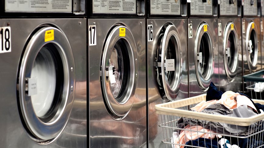 What Support Do Laundry Franchisors Provide