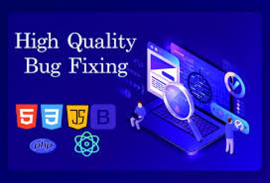 How Technical Bugs affects your custom website quality?
