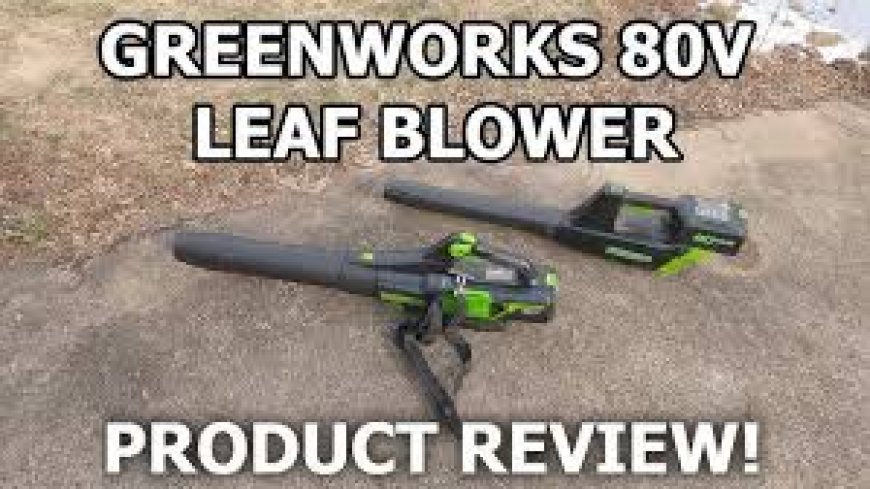 Greenworks 80V Blower Review: Power, Performance, and Pet-Friendly Use