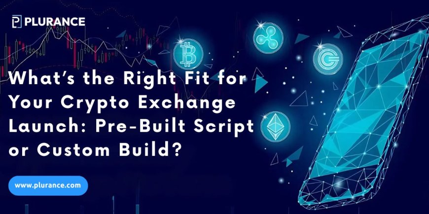 Cryptocurrency Exchange Script vs Custom Development: Which is Suitable for Your Crypto Exchange Launch?