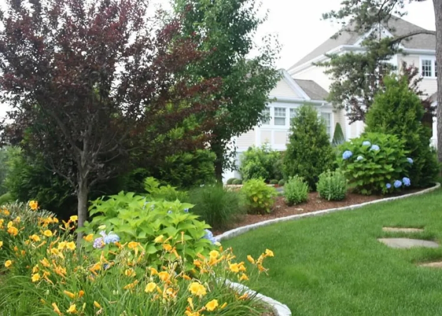 Healthy Lawns, Lasting Impressions: Expert Lawn Care Services in Cape Cod