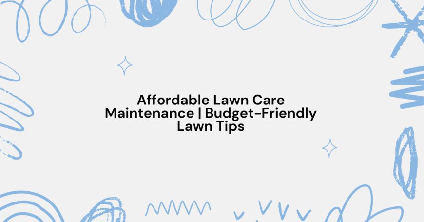 Affordable Lawn Care Maintenance | Budget-Friendly Lawn Tips