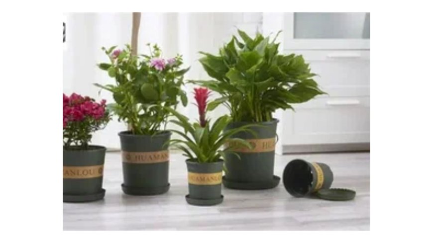 What Makes Drip Trays for Flower Pots the Best Choice for Clean Gardening?