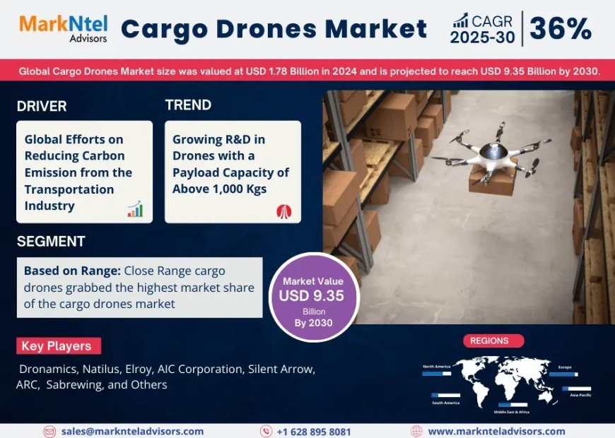 Cargo Drones Market Player Analysis and Growth Opportunities - 2030