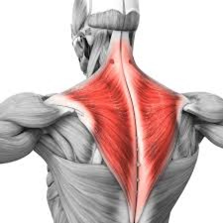 Vanadom Tablets: Effective Relief for Muscle Pain & Sprains