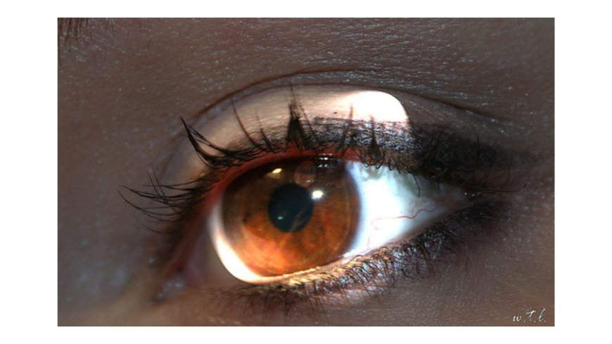 Need Reliable Eye Care Services in Roswell? Find the Best Near You!