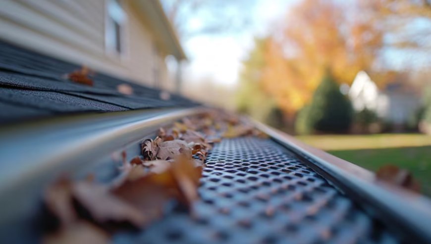 Top 5 Reasons Why Gutter Cleaning in Geelong Is Essential Before Winter
