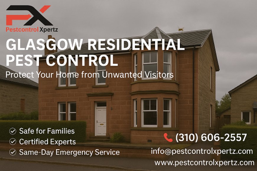 Quick Pest Control Glasgow: Fast, Effective Solutions to Protect Your Home and Business