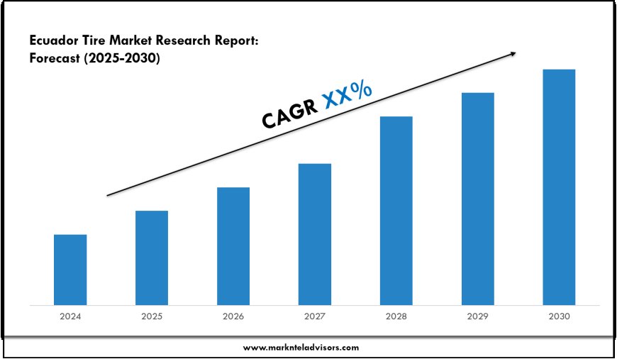 Ecuador Tire Market Size & Share 2025: Key Trends & Projections