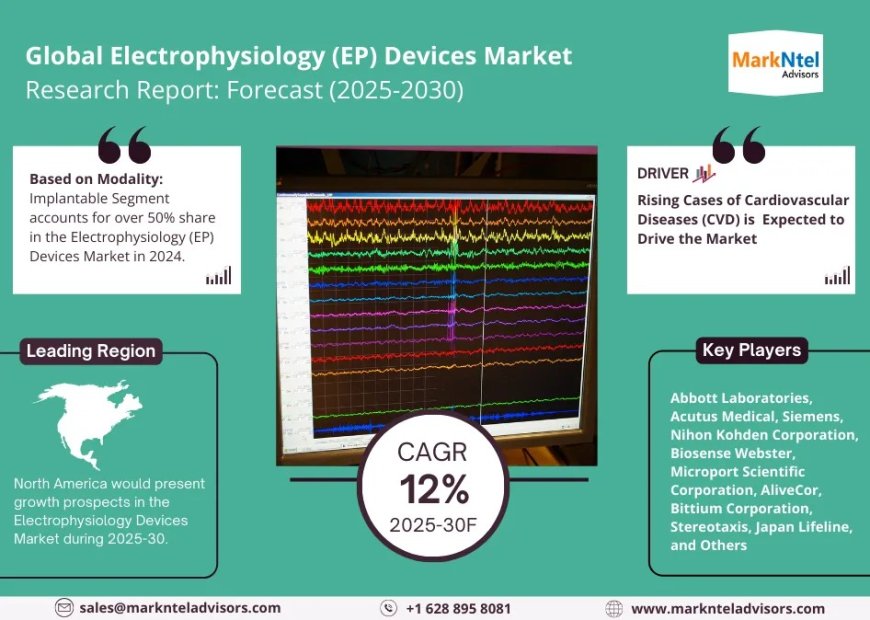 Electrophysiology (EP) Devices Market Size & Share 2025: Key Trends & Projections
