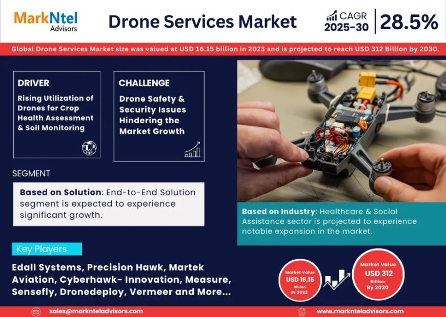Drone Services Market Size & Share 2025: Key Trends & Projections