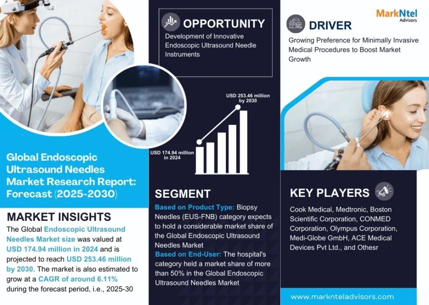 Endoscopic Ultrasound Needles Market Size & Share 2025: Key Trends & Projections