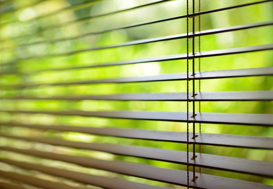 Shutters Christchurch: Elevate Your Living Spaces with Style and Ease