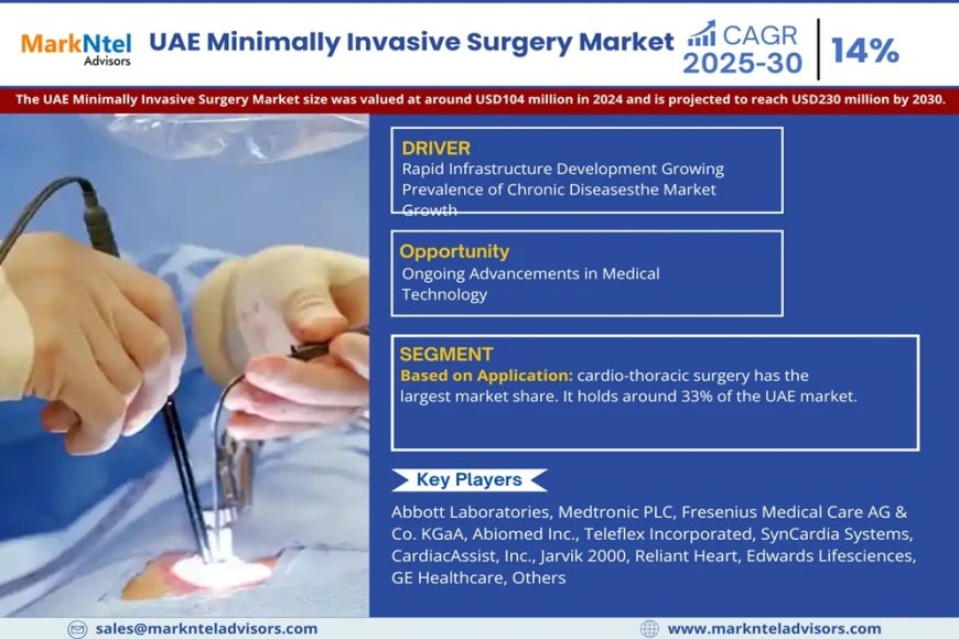UAE Minimally Invasive Surgery Market Player Analysis and Growth Opportunities - 2030
