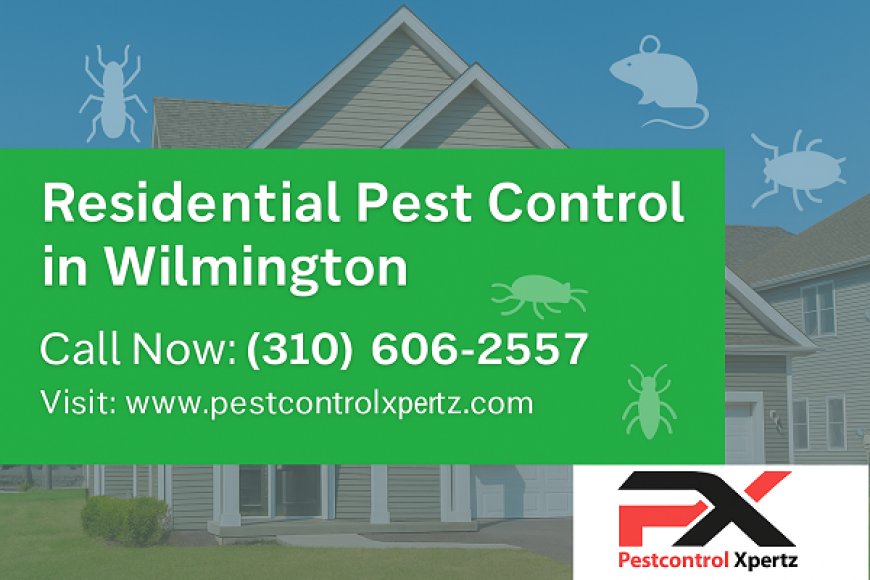 Your Guide to a Pest-Free Home: What to Expect from Professional Residential Pest Control in Wilmington