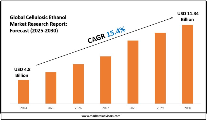 Cellulosic Ethanol Market Size & Share 2025: Key Trends & Projections