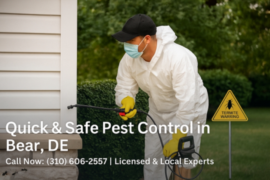 Quick Pest Control Bear: Fast, Reliable Solutions to Keep Your Home Pest-Free