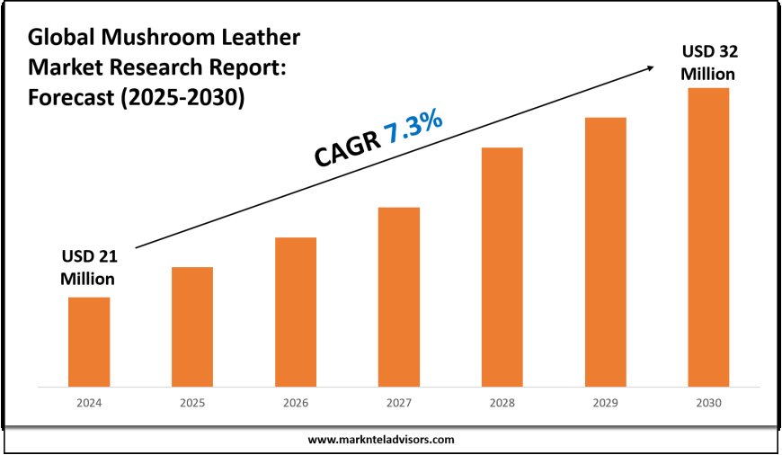 Mushroom Leather Market Size & Share 2025: Key Trends & Projections