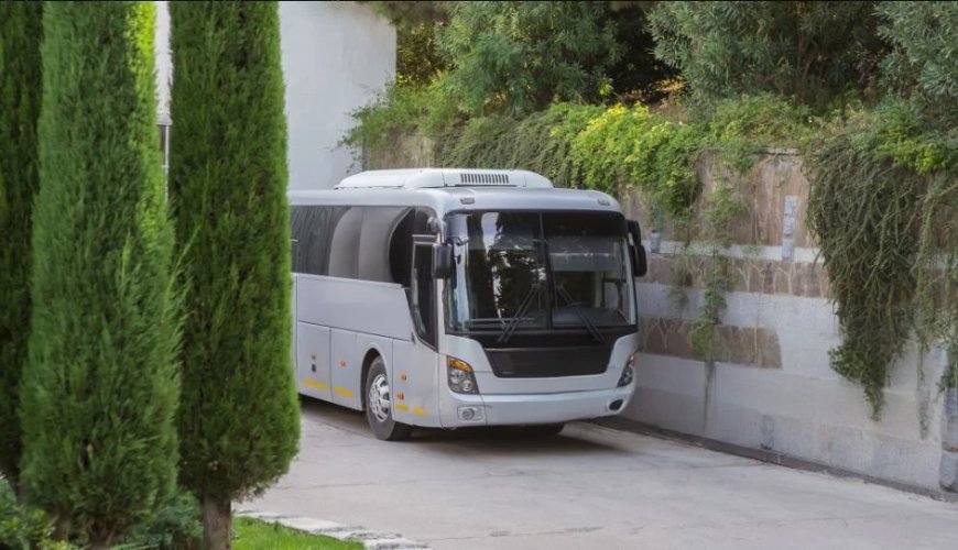Professional Local Transport Bus Service: Your Safety, Our Priority