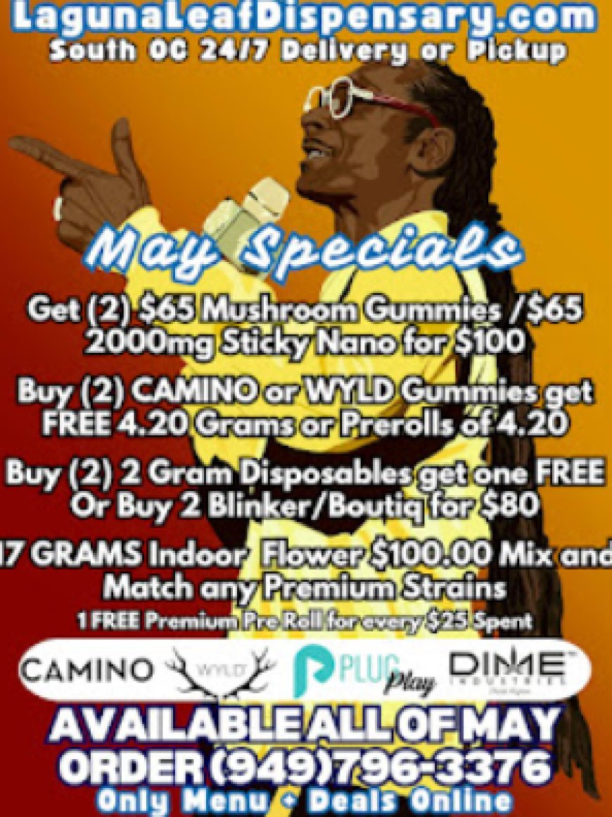 Premium Wild Gummies: The Perfect Blend of Flavor and Functional Cannabis Wellness