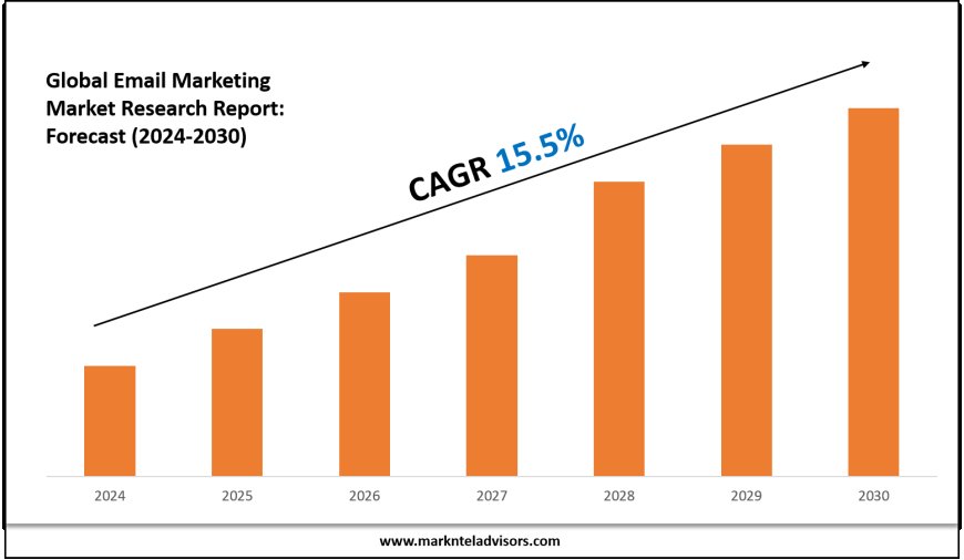 Email Marketing Market Outlook: Size, Share, and Competitive Trends 2030