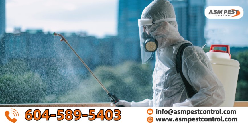 Why Professional Bed Bug Control In Vancouver Is Essential In 2025