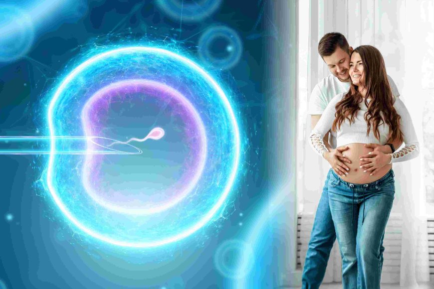 A Closer Look at Fertility Preservation Services in the UAE