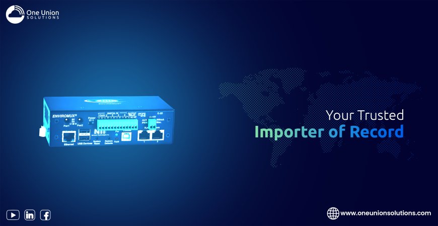Freight Forwarding Europe: Why One Union solutions Is Your best Logistics companion