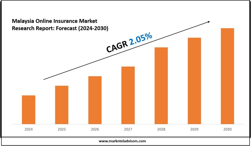 Malaysia Online Insurance Market Forecast: Demand, Value & Player Insights 2030