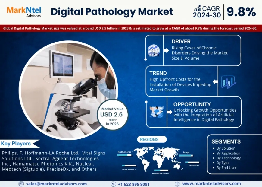 Digital Pathology Market Overview 2024–2030: Demand & Future Trends