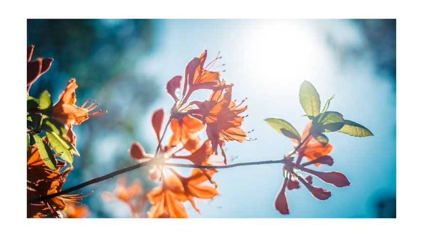 Top Traits to Look for in the Best Couples Therapists