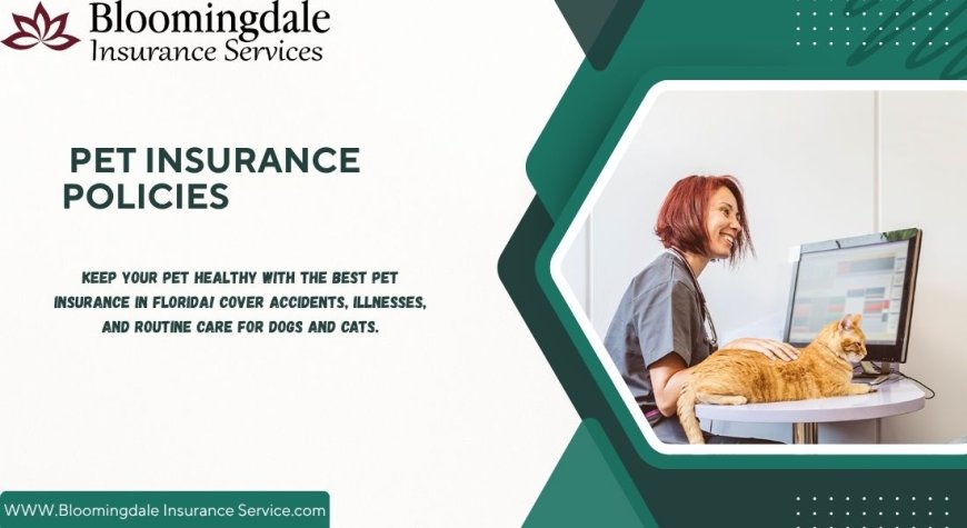 Comprehensive Pet Insurance Policies by Bloomingdale Insurance Services