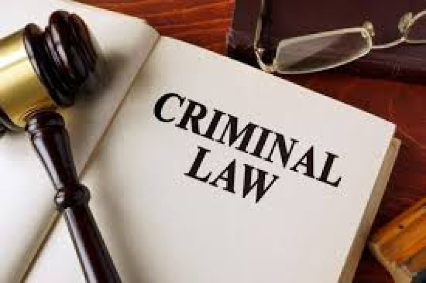 The Role and Importance of a Criminal Lawyer