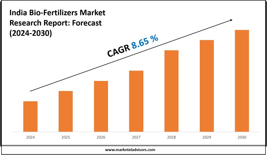 India Bio-Fertilizers Market Size & Share 2030 Key Trends & Projections