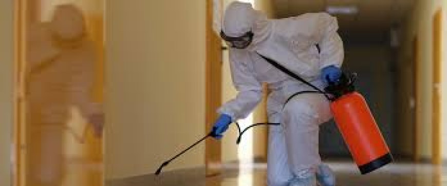 The emergence of Pest Control Company