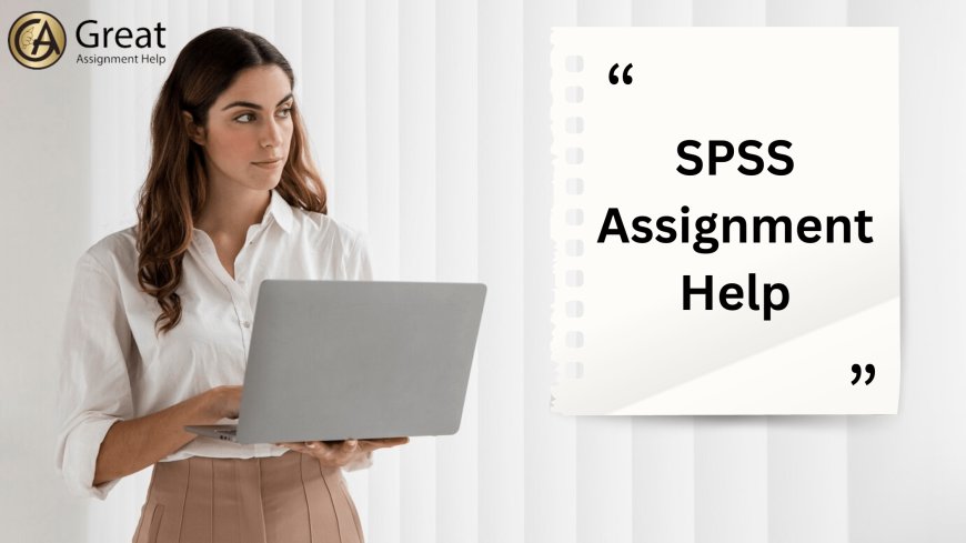 Master Data Analysis with the SPSS Assignment Help Services Online