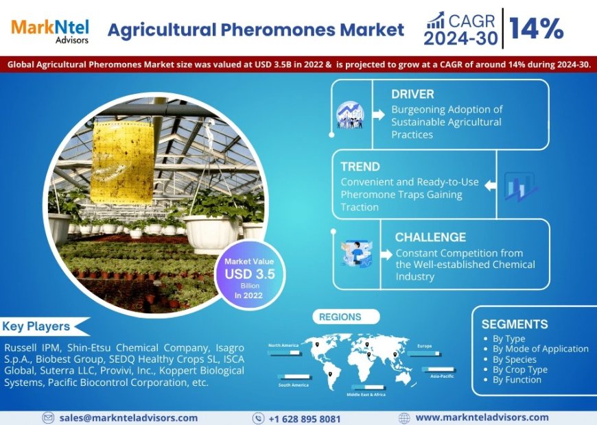 Agricultural Pheromones Trends: Significant Growth Expected Through 2030