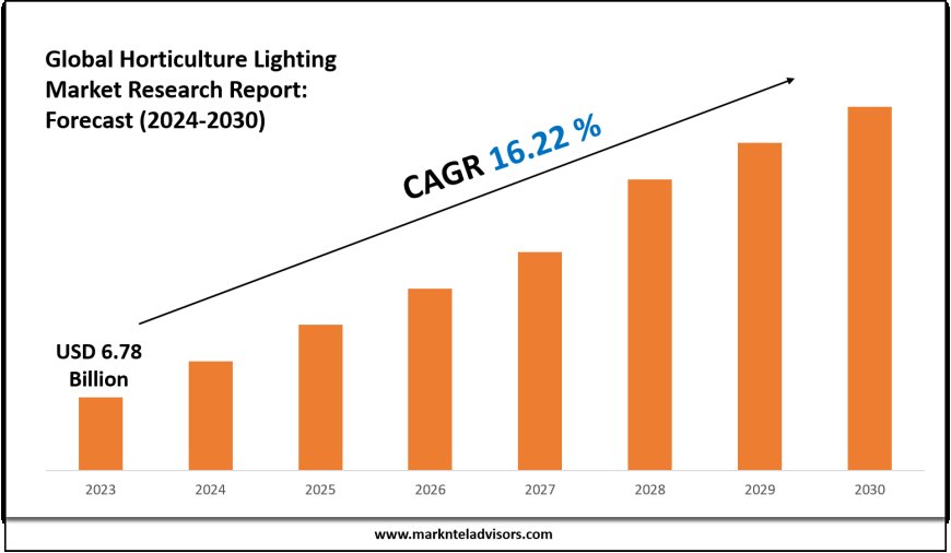 Horticulture Lighting Market Forecast: Growth Drivers & Outlook to 2030