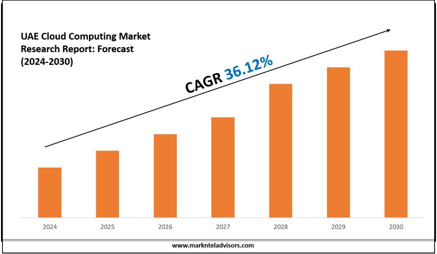 UAE Cloud Computing Market Forecast: Demand, Value & Player Insights 2030