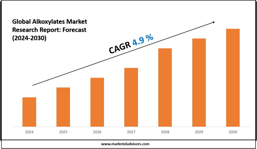 Alkoxylates Industry Analysis 2024–2030: Market Insights & Forecast