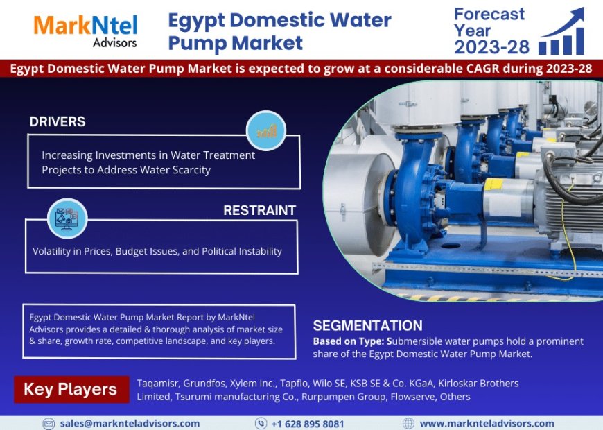 Egypt Domestic Water Pump Industry Share, Size, and Competitive Landscape 2028