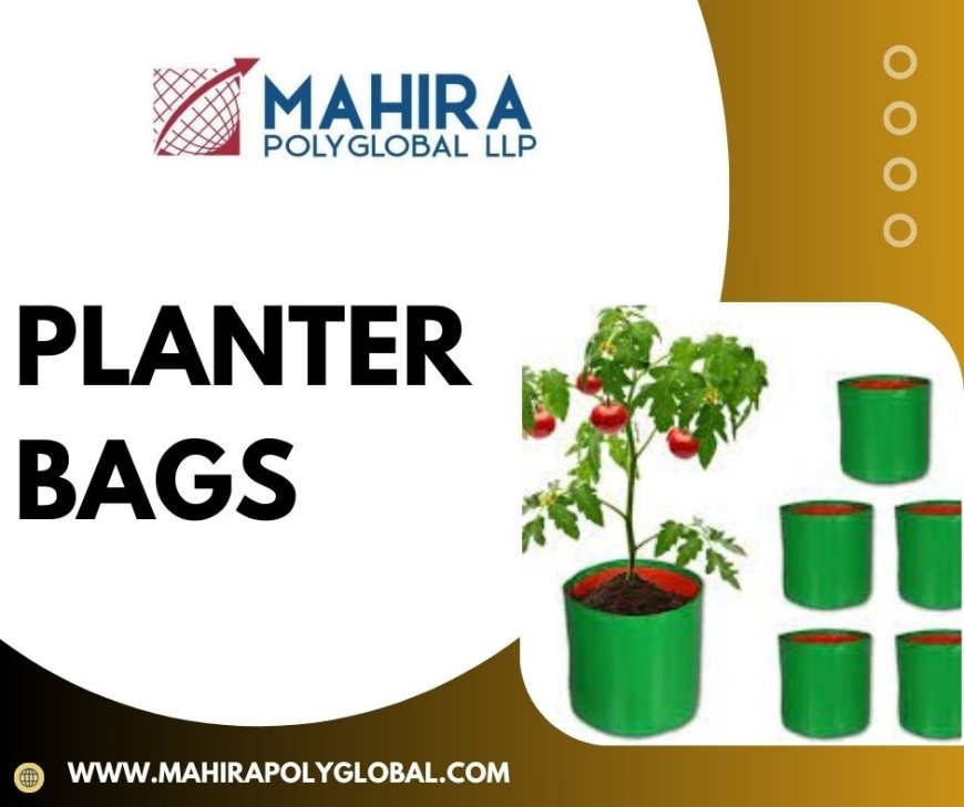Why Planter Bags Are Revolutionizing Urban Gardening