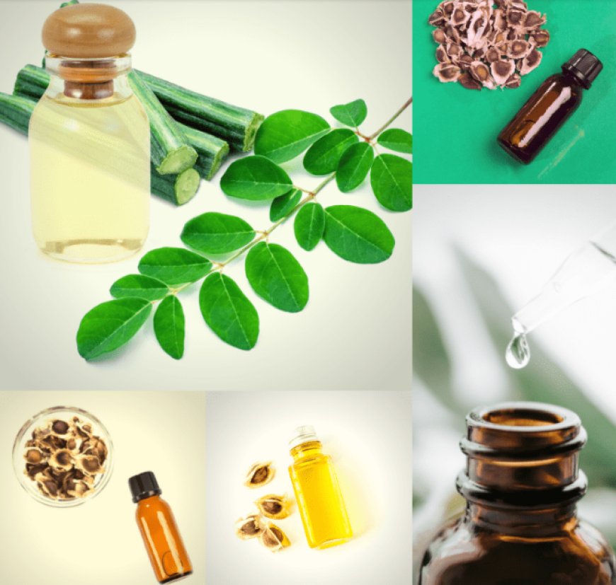 The Trusted Green Gold: Navigating Opportunities with a Reliable Moringa Oil Supplier in India