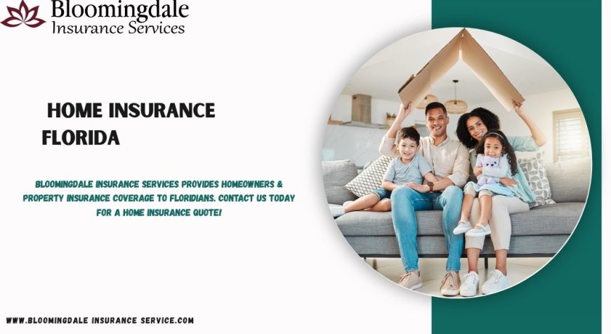 Trusted Home Insurance Florida Services by Bloomingdale Insurance Services