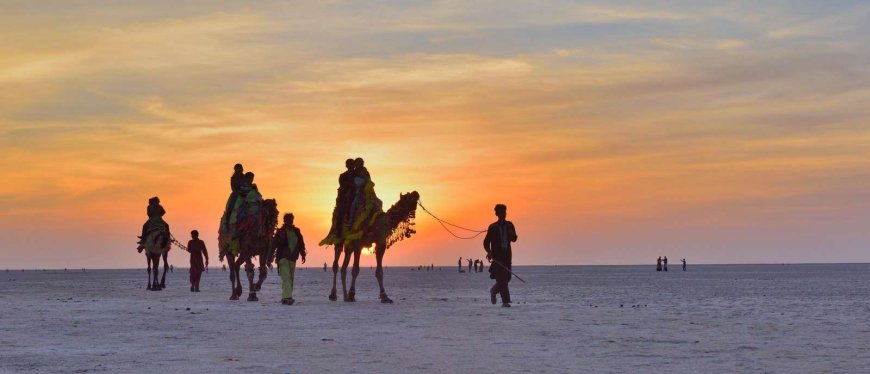 Capturing the Wild Spirit of the Rann of Kutch