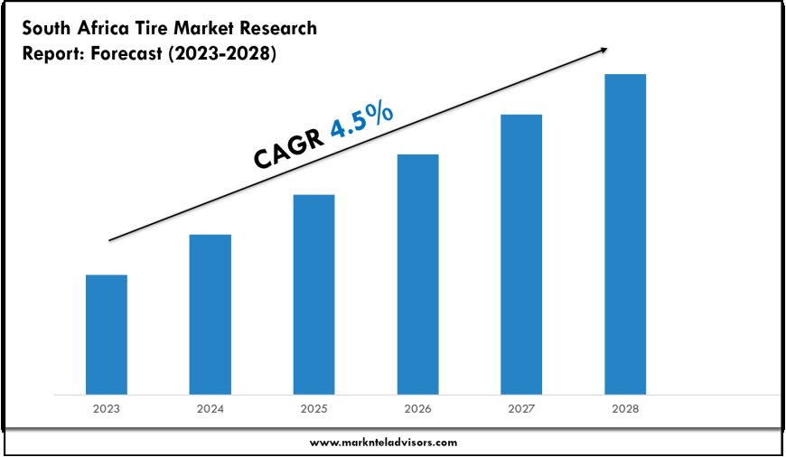 South Africa Tire Market Size & Share 2028 Key Trends & Projections