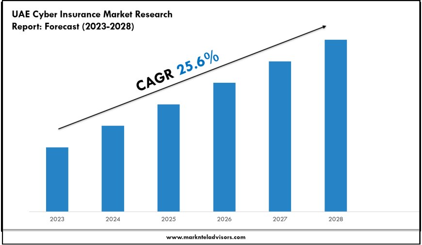 UAE Cyber Insurance Industry Analysis 2023–2028: Market Insights & Forecast